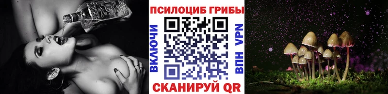 Псилоцибиновые грибы прущие грибы ОМГ ОМГ маркетплейс Ершов